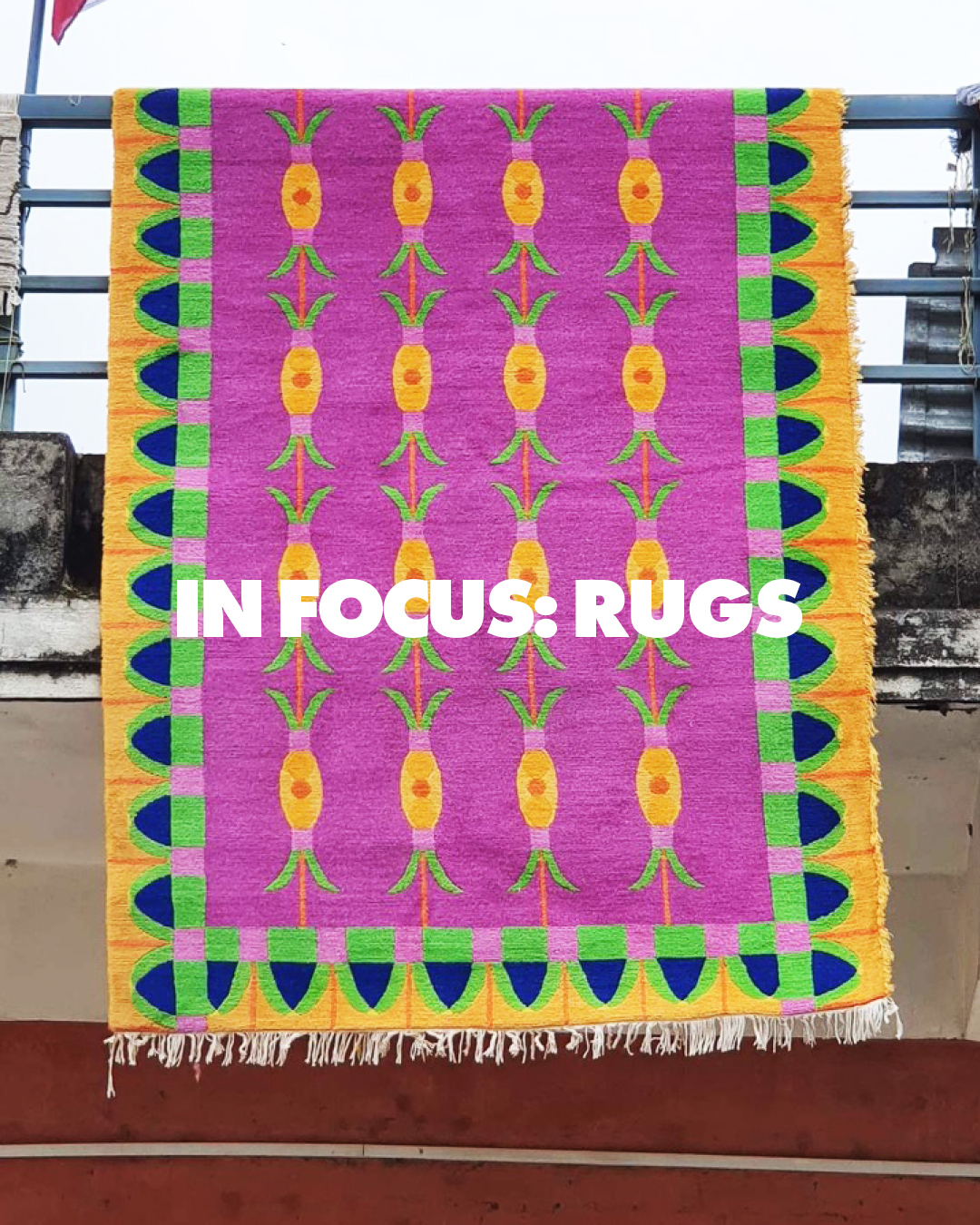2300406 RUGS MAILCHIMP KC